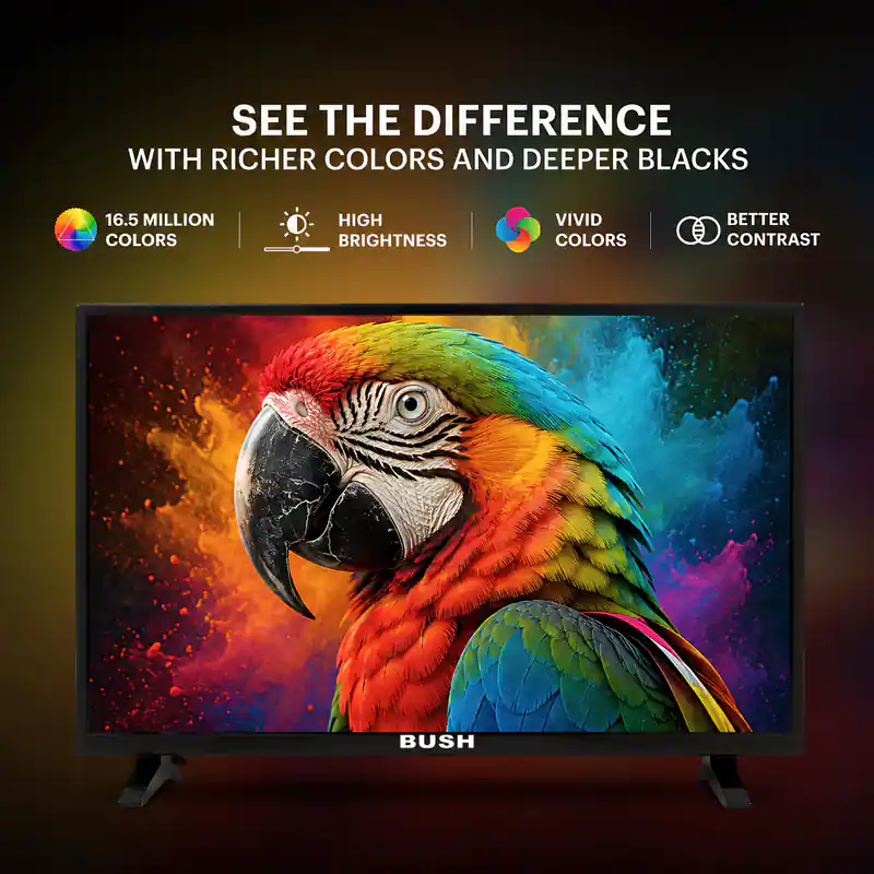 BUSH 24 inch HD READY TV -HD24D1M19 (4)