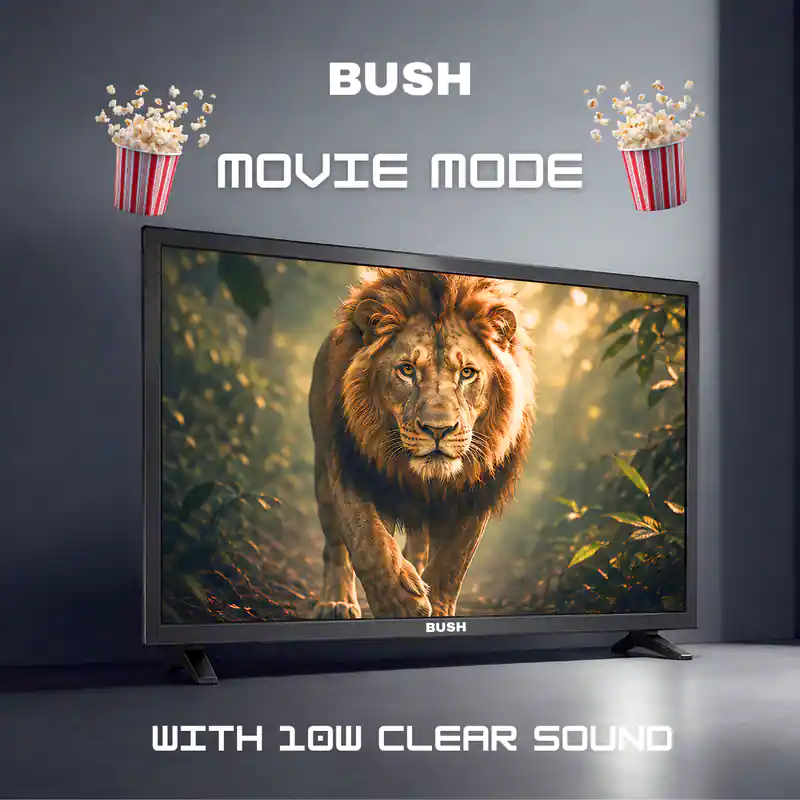 BUSH 24 inch HD READY TV -HD24D1M19 (9)