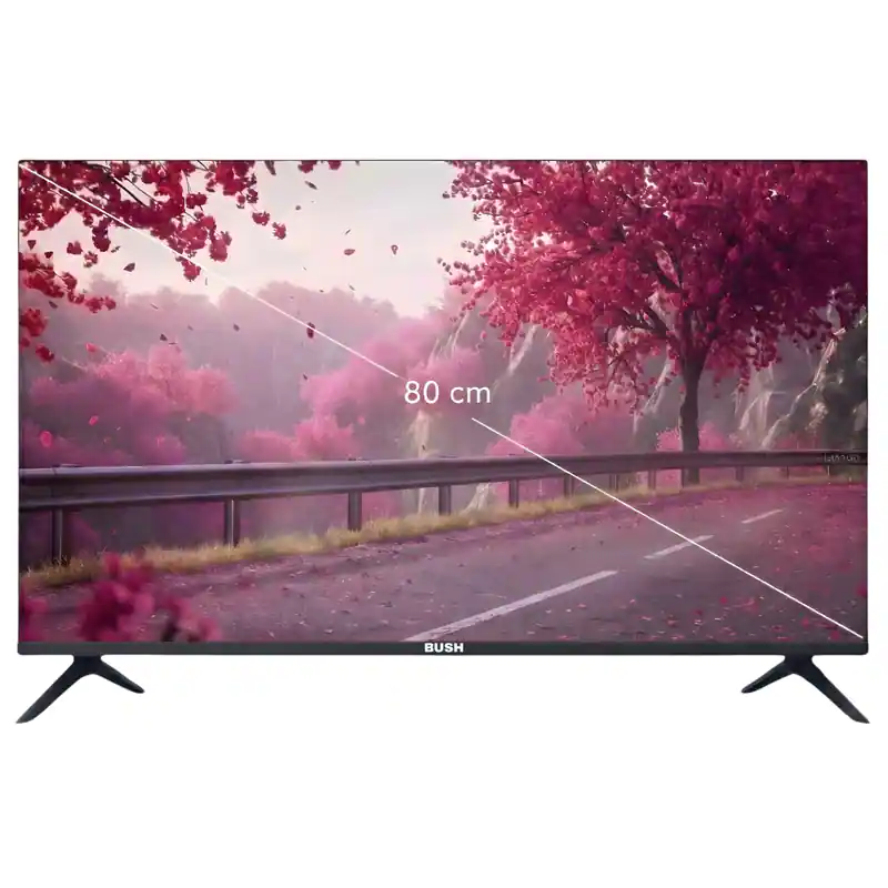 BUSH 32 inch HD READY-HD4FSPRO (14)