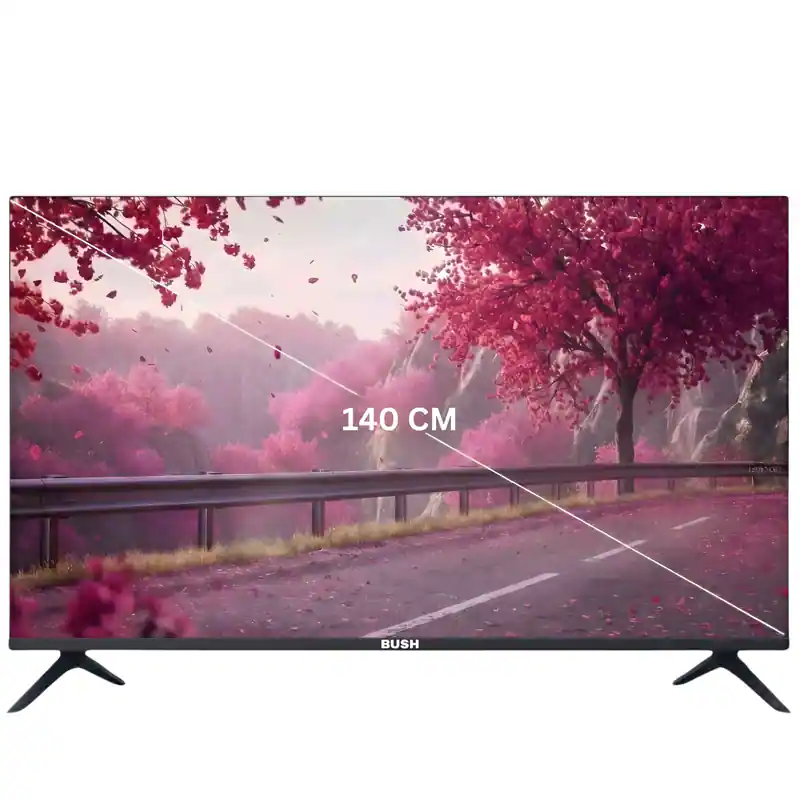 BUSH 55 inch 4K TV-HD55FLPRO (19)