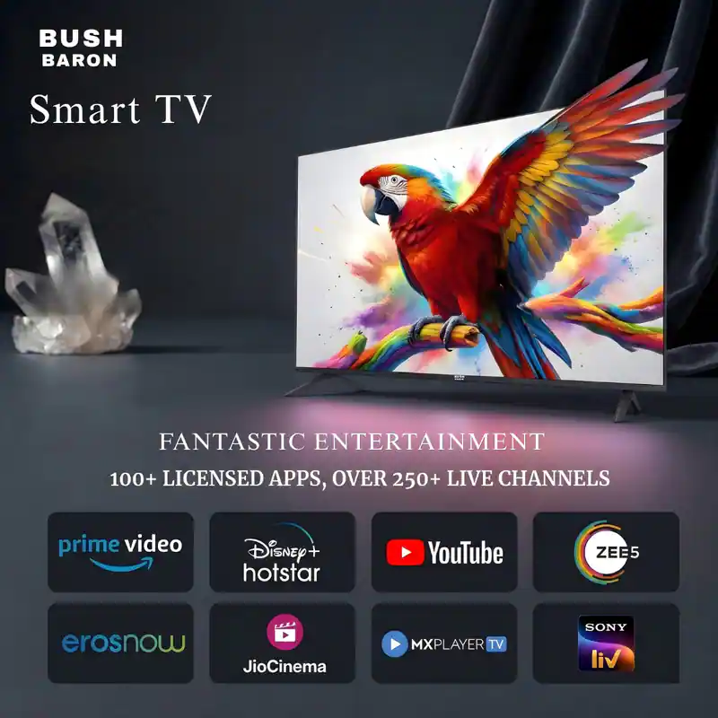 BUSH BARON 40 inch FHD -HD9FSMAX-TV (15)